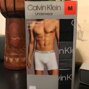 Calvin Klein 3-Pack Briefs (New)